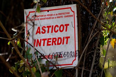 Close-up of warning sign on plant