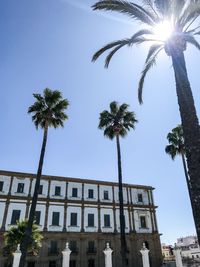 Low angle view of palm trees and building against sky