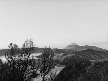 Scenic view of landscape against clear sky