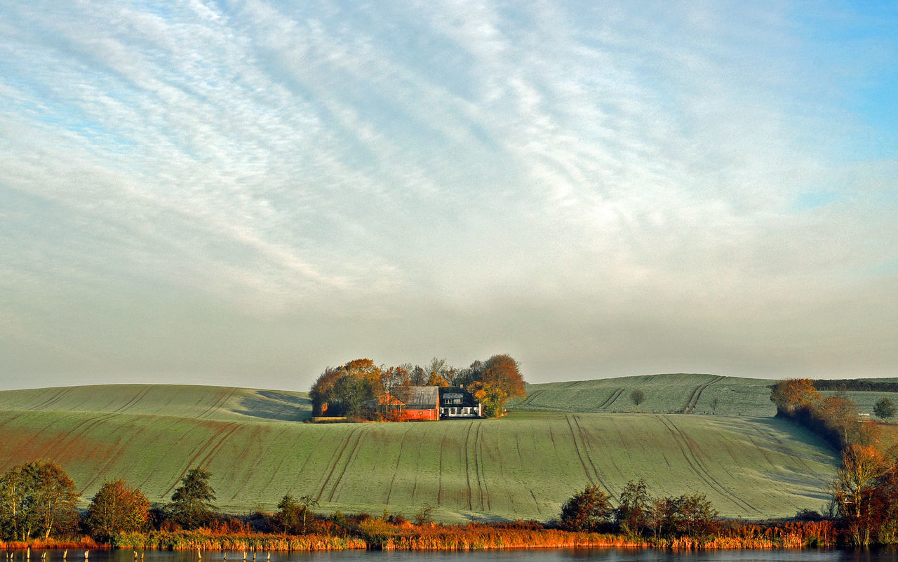 Farm at the lake