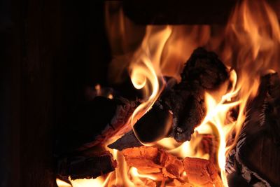 Close-up of bonfire at night