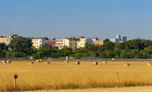 Trees on field against buildings in city against clear sky