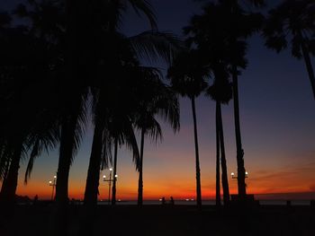 Silhouette palm trees on beach against sky during sunset