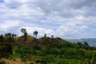 Scenic view of trees and mountains against sky