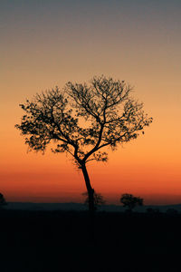 Silhouette tree against sea during sunset