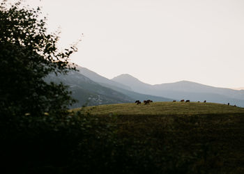 Scenic view of landscape against sky