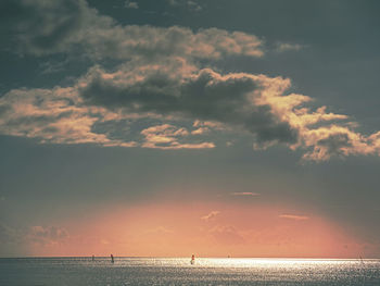 Windsurfer men on a windsurfs. gentle wind blowing, afternoon sun glittering in sea waves. yeachting