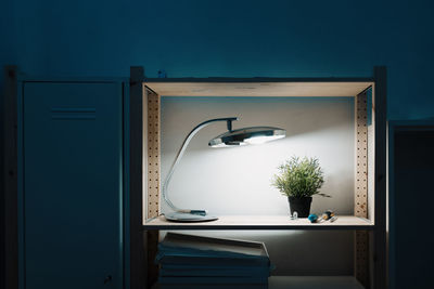 Potted plants on modern writing desk