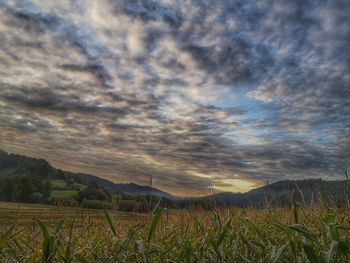 Scenic view of field against cloudy sky
