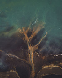 Aerial view of beach