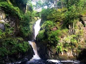 River flowing through rocks