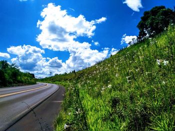 Road amidst trees against sky