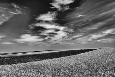 Scenic view of field against sky