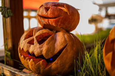 Halloween pumpkin jack o lanterns with funny faces.