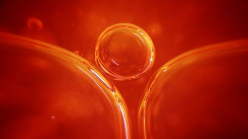 Close-up of water drop against red background