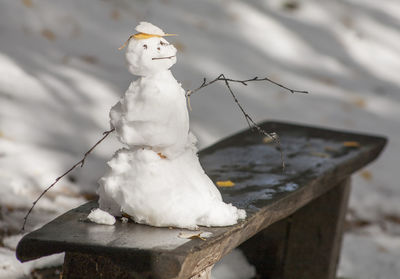 Close-up of statue against snow