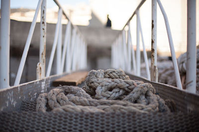 Close-up of ropes