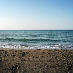 Scenic view of beach