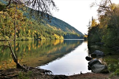 Rear view of lake against sky during autumn