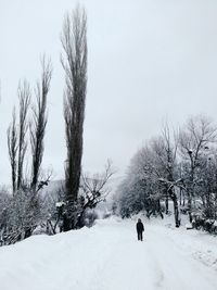 Person walking on snow covered field