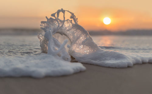 Close-up of sea shore during sunset