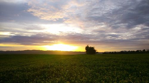 Scenic view of field against sky during sunset