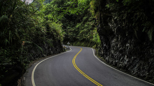 Road amidst trees