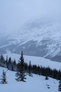 Scenic view of snow covered mountains against sky