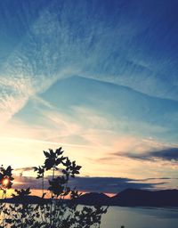 Scenic view of silhouette trees against sky during sunset