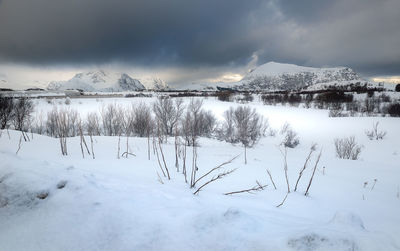 Scenic view of snowcapped mountains against sky during winter