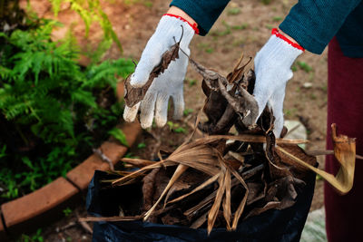 Midsection of person wearing gloves working at backyard