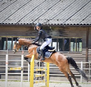 Man riding horse