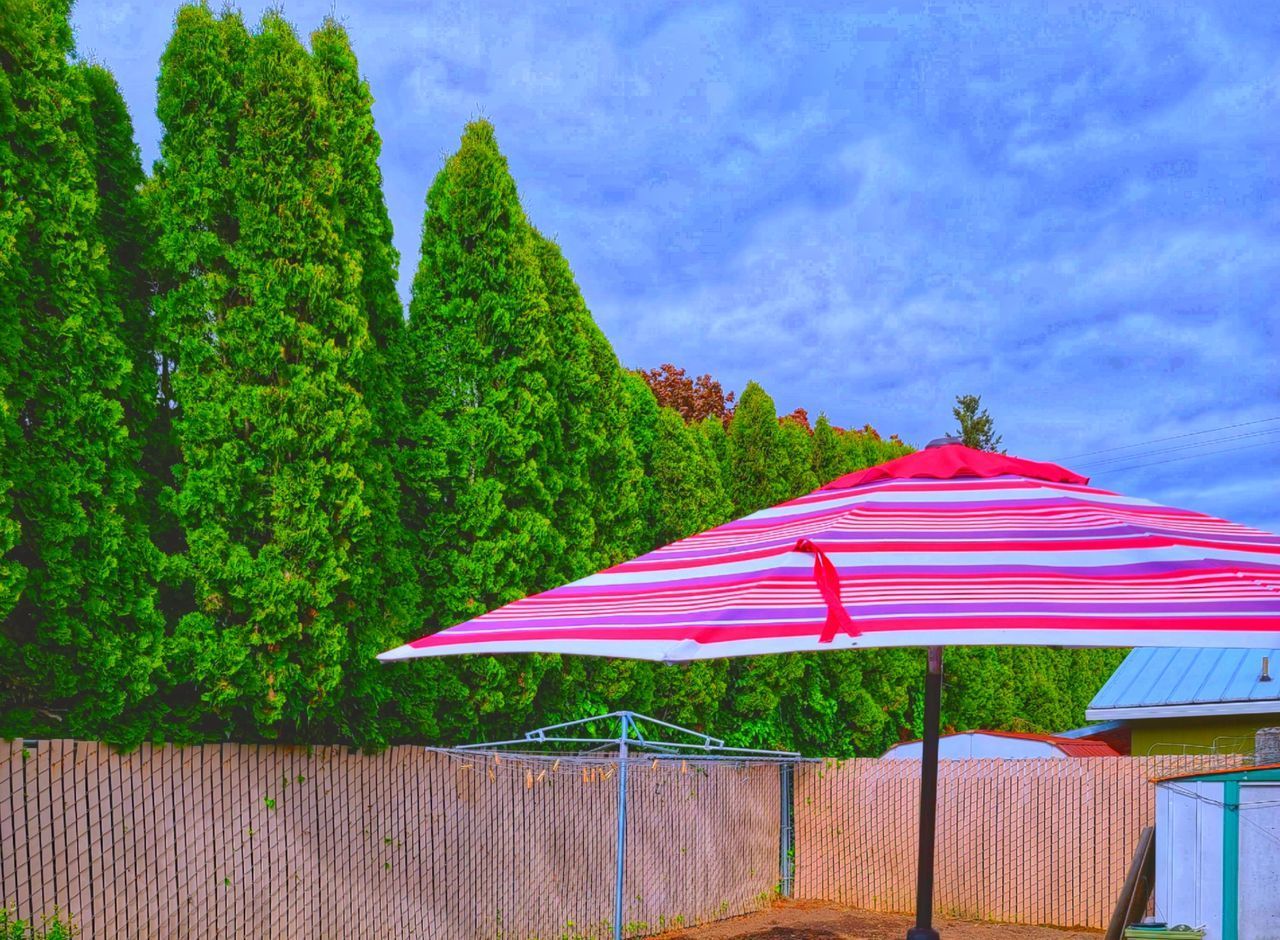 FLAG ON PLANT AGAINST TREES