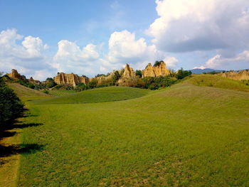 Panoramic view of trees on field against sky