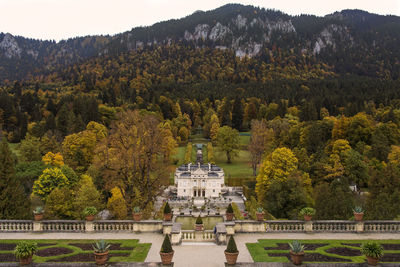 Statue of trees with mountain in background