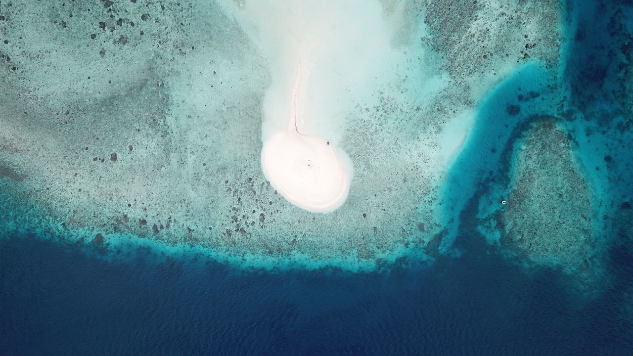 CLOSE-UP OF SEA UNDERWATER