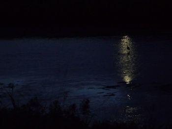 Reflection of trees in water