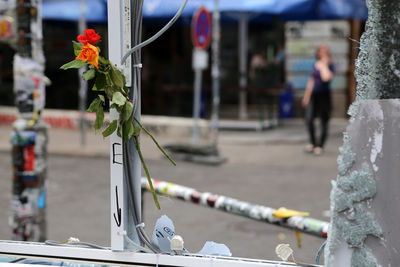 Close-up of flowers on street