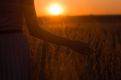 Midsection of woman touching plants on land during sunset