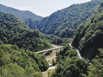 Scenic view of river in forest against sky