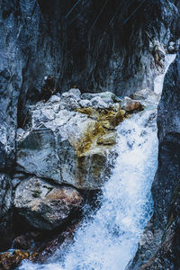 Scenic view of waterfall in forest