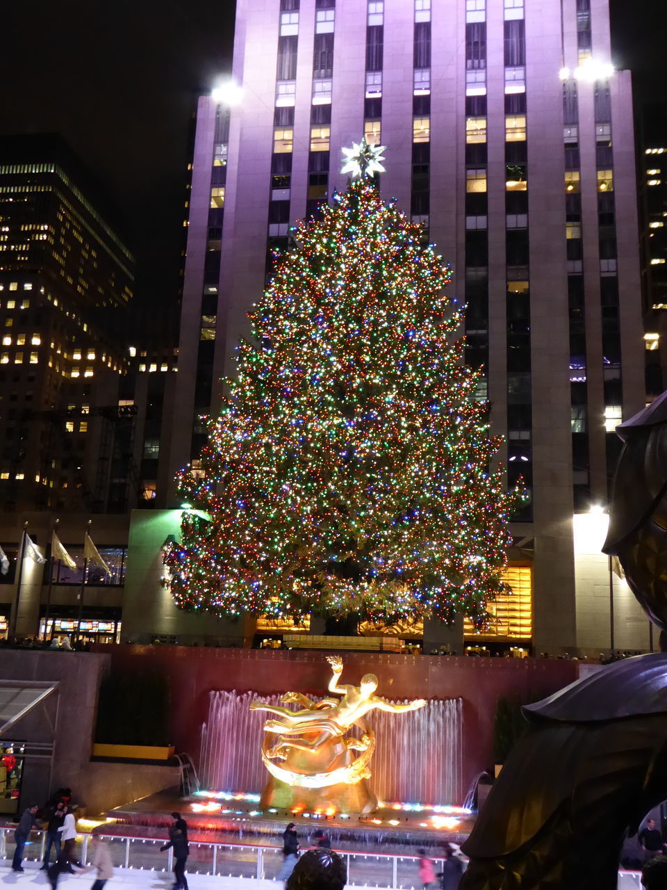 ILLUMINATED CHRISTMAS TREE IN CITY