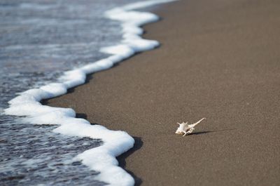 High angle view of snow on beach