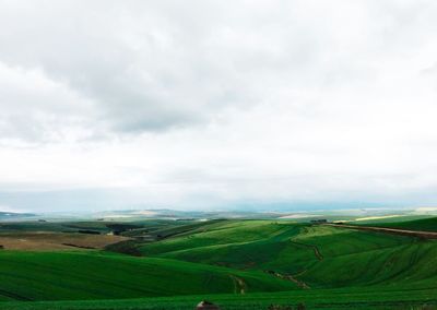 Scenic view of agricultural field against sky