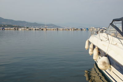 Sailboats moored in marina