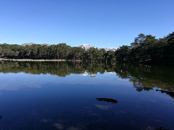 Reflection of trees in lake against clear blue sky