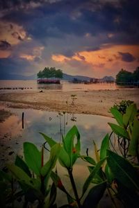 Scenic view of sea against sky at sunset