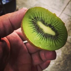 Cropped image of person holding fruit