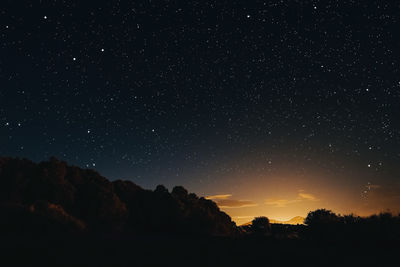 Silhouette trees against sky at night