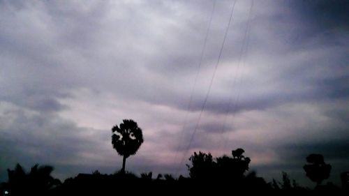 Silhouette of trees against cloudy sky